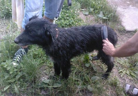 gyurika1.jpg gyurika1.jpg